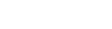 Netsoft